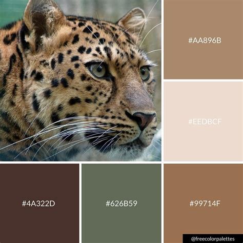 leopard color bilscreen