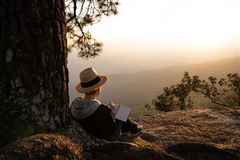 woman sitting   pine tree reading  writing