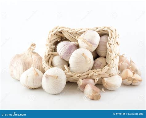 garlic  white stock photo image  garlic root rectangular
