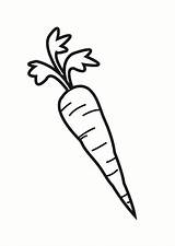 Carrot Coloring Pages sketch template