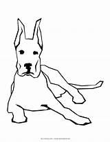 Coloring Dog Pages Dogs Dane Great Line Pitbull Drawing Simple Gif Color Mycoloringland Comments sketch template