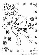 Tweety Ptaszek Kwiatki Kolorowanka Przedstawia Druku Kategorii Powyżej Znajduje Rysunek sketch template
