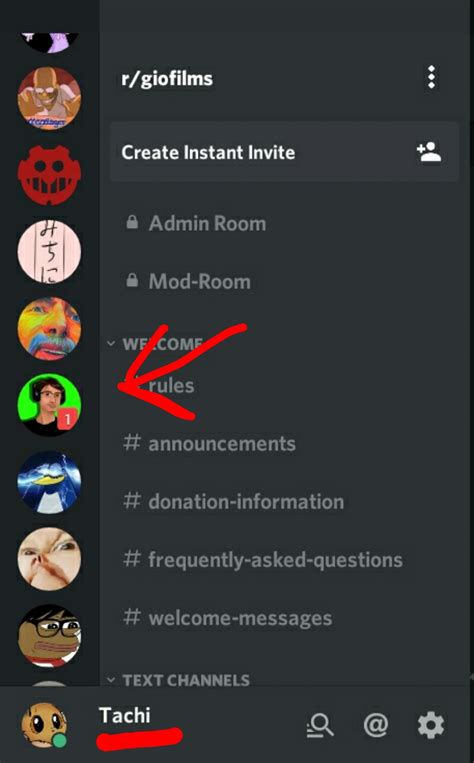 changed  server pic    discord ping icon rnotnicepeople