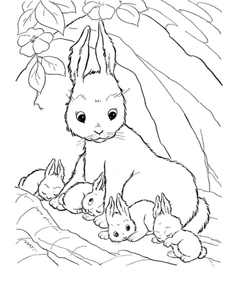 rabbit family coloring page coloring page book