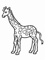 Giraffe Coloring Pages Girafe Kids Drawing Cute Printable Cartoon Baby Coloriage Sheets Giraffes Simple Animal Color Colouring Dessin Print Sheet sketch template