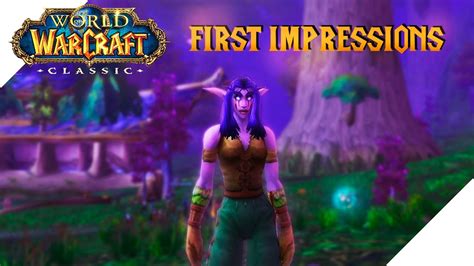 Wow Classic First Impressions Night Elf Rogue Youtube