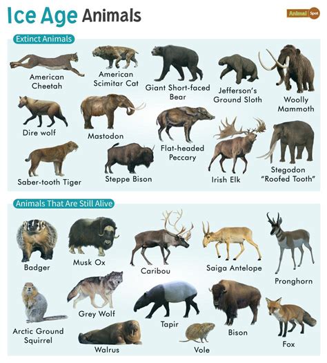 ice age animals facts list pictures