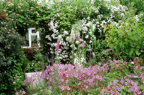 plants for a traditional cottage garden