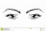 Eyes Outline Template Coloring Eye Lashes Vector sketch template