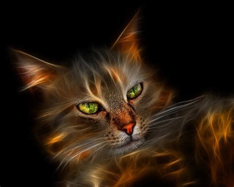 Pretty Kitty Wallpaper Cats Wallpaper 10547176 Fanpop