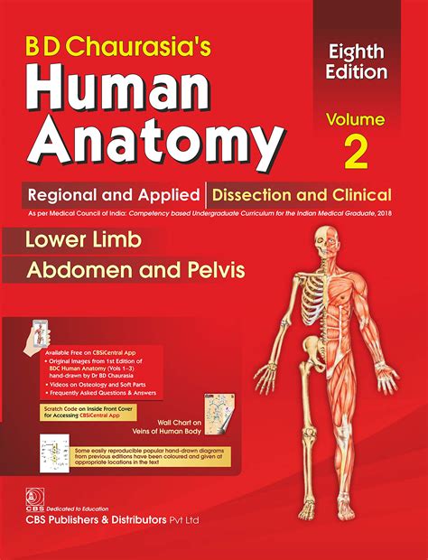 Buy Bd Chaurasias Human Anatomy Regional And Applied Dissection