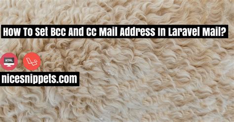 set bcc  cc mail address  laravel mail hashnode