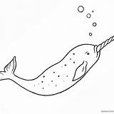 Narwhal Fishes Whale sketch template