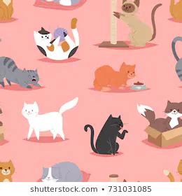 cat playing  toy images stock  vectors shutterstock