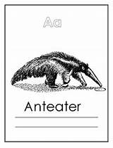 Coloring Animals Alphabet Pages African Book Anteater Easily Colouring Cost Could But sketch template