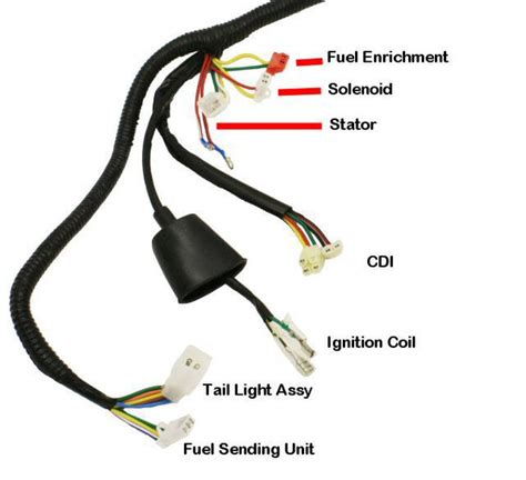 complete gy wire harness electrical street scooters partsforscooterscom store