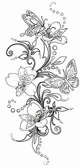 Coloriage Papillon sketch template