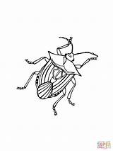 Insect Coloring Aphid Online Color Pages sketch template
