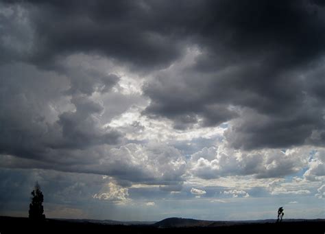 images tree horizon cloud sky sunlight dawn