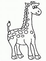Jirafa Jirafas Giraffe sketch template