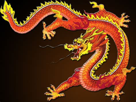 chinese dragon wallpaper  hd backgrounds images pictures