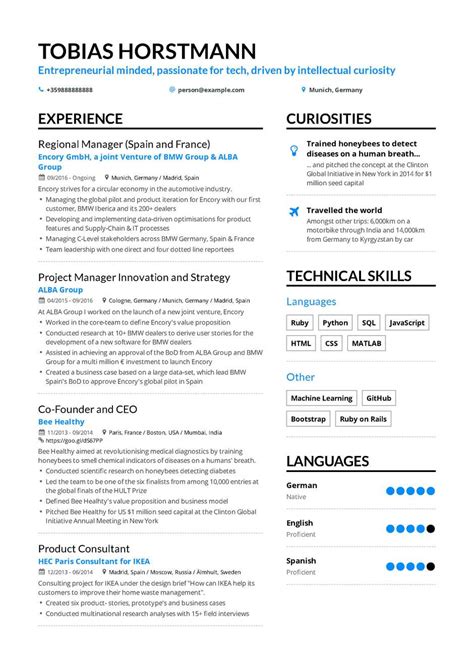 professional resume examples  samples