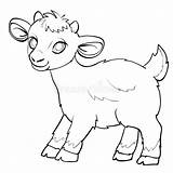 Lamb Background sketch template