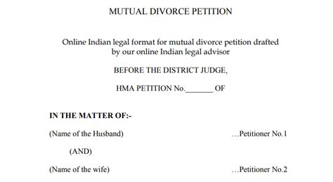 divorce application form  talaqnama format  hindi   form