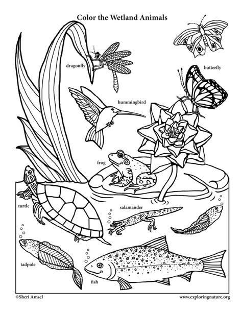 smiling wetland animals coloring page