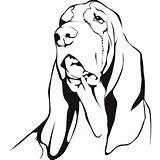 Hound Basset Sticker Gravur Getcolorings Canine Hunde sketch template