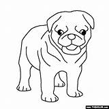 Pug Coloring Pugs Mops Puppies Adulte sketch template