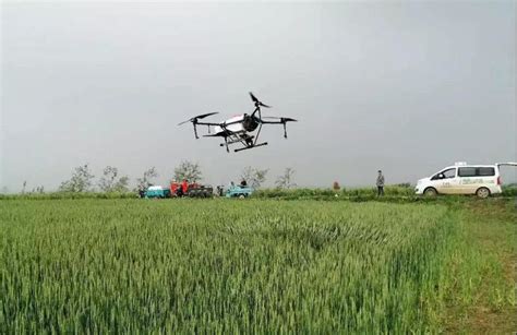 apk  agricultural spraying drone  working   wheat field efficiently