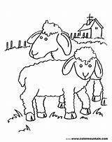 Sheep Outline Drawing Paintingvalley sketch template