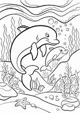 Coloring Pages Dolphin Mermaid sketch template