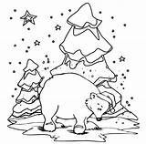 Bear Coloring Pages Christmas Getcolorings Polar sketch template