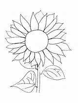 Sunflower Coloring Pages Van Gogh Easy Sunflowers Template Drawing Kids Printable Print Line Simple Color Flower Flowers Garden Drawn Adults sketch template