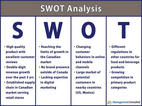 utilizing swot   business case management consulted