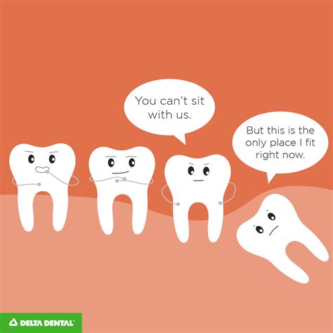 the best dental jokes dental memes to tickle your funny