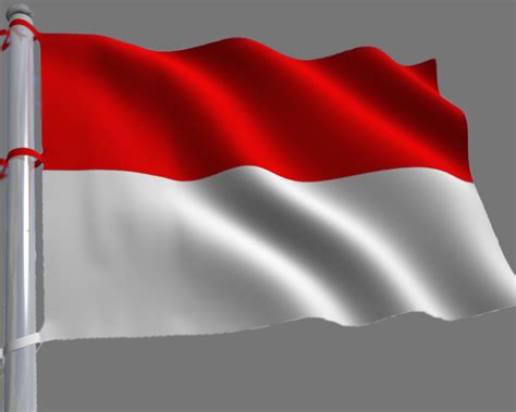 gambar bendera timor leste gif gambar animasi bergerak  indonesia bisa  rebanas rebanas