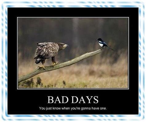 58 Best If You Had A Bad Day Images On Pinterest