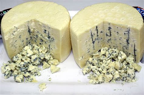 filemontforte blue cheesejpg wikimedia commons