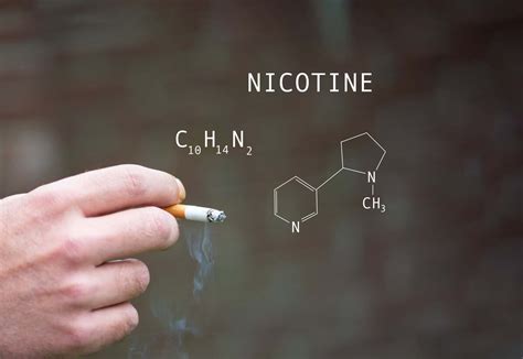 nicotine    cigarette definitive guide