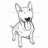 Terrier Bullterrier Drawings sketch template