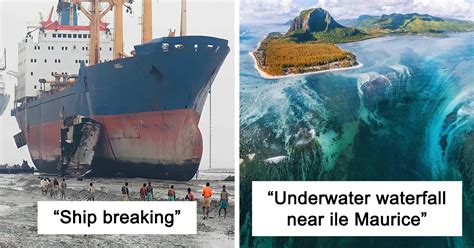 people are sharing their megalophobia moments and here are 50 pics