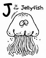 Jellyfish Jelly Cliparts Designlooter Alphabet Haiwan Mewarna Rakan Coloringhome sketch template