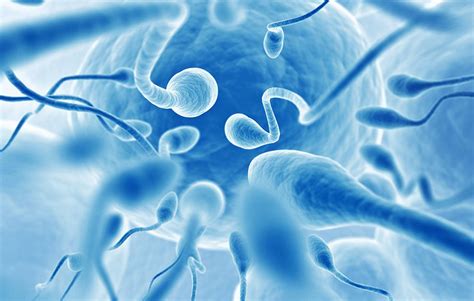 scientists discover new part of sperm which could explain infertility