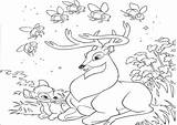 Deer Coloring Pages Printable Bambi Kids Buck Family Whitetail Print Drawing Hunting Baby Color Roe Bestcoloringpagesforkids Getdrawings Getcolorings Disney Popular sketch template