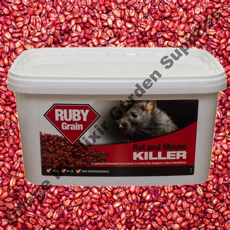 rat poison mouse killer strong professional difenacoum ruby bait ebay