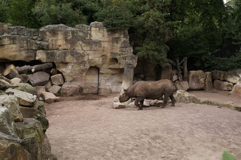 foto galerie  erlebnis zoo hannover freizeitpark weltde