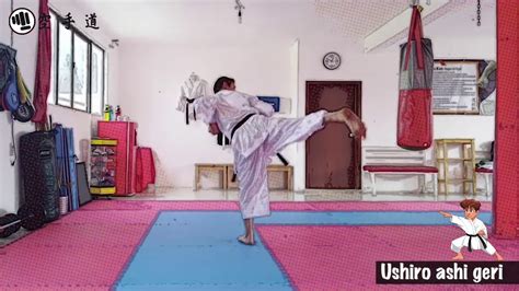 👊 ushiro ashi geri técnicas de karate do youtube